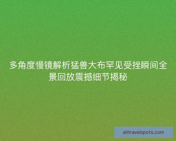 多角度慢镜解析猛兽大布罕见受挫瞬间全景回放震撼细节揭秘